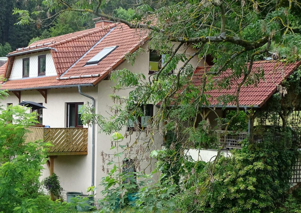 Ferienwohnung Am Berggrabenweg Ilmenau Exteriér fotografie