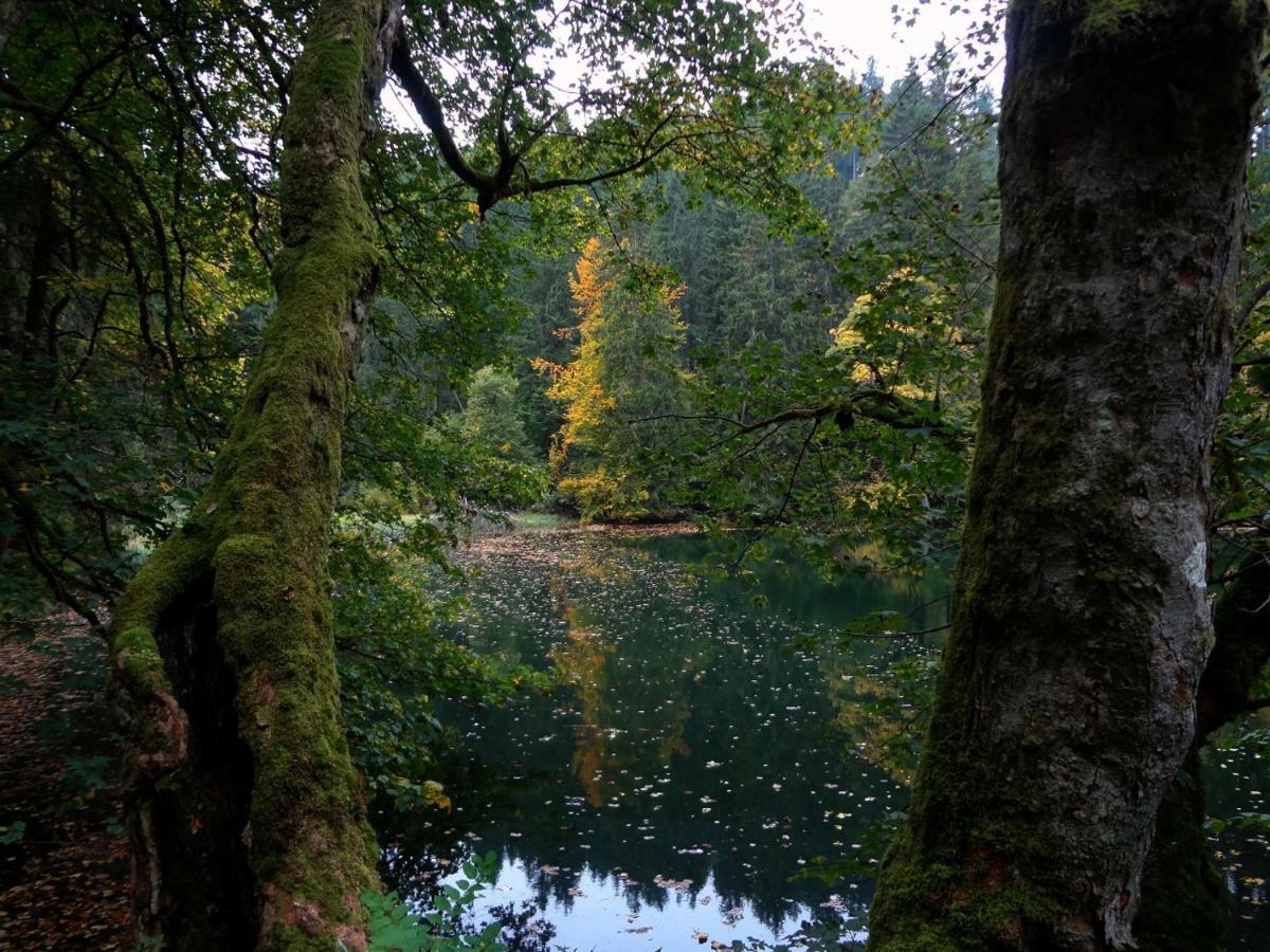 Ferienwohnung Am Berggrabenweg Ilmenau Exteriér fotografie